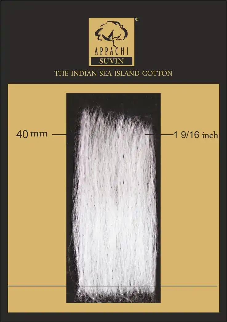 Appachi Suvin cotton fibre sample showing 40 mm staple length