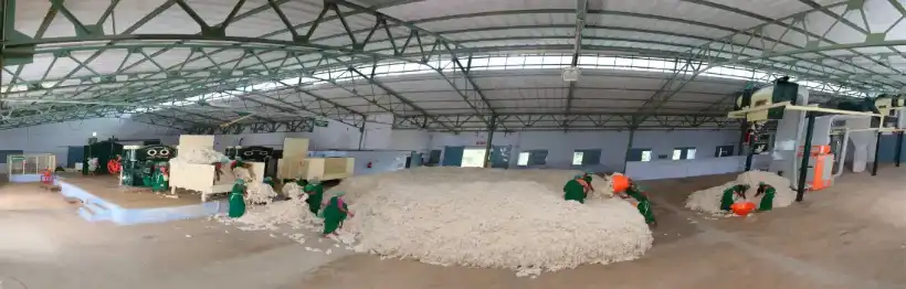 Primary heap making at Appachi